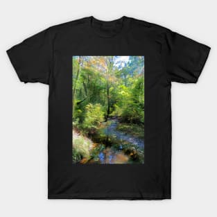 A Walk in the Woods T-Shirt